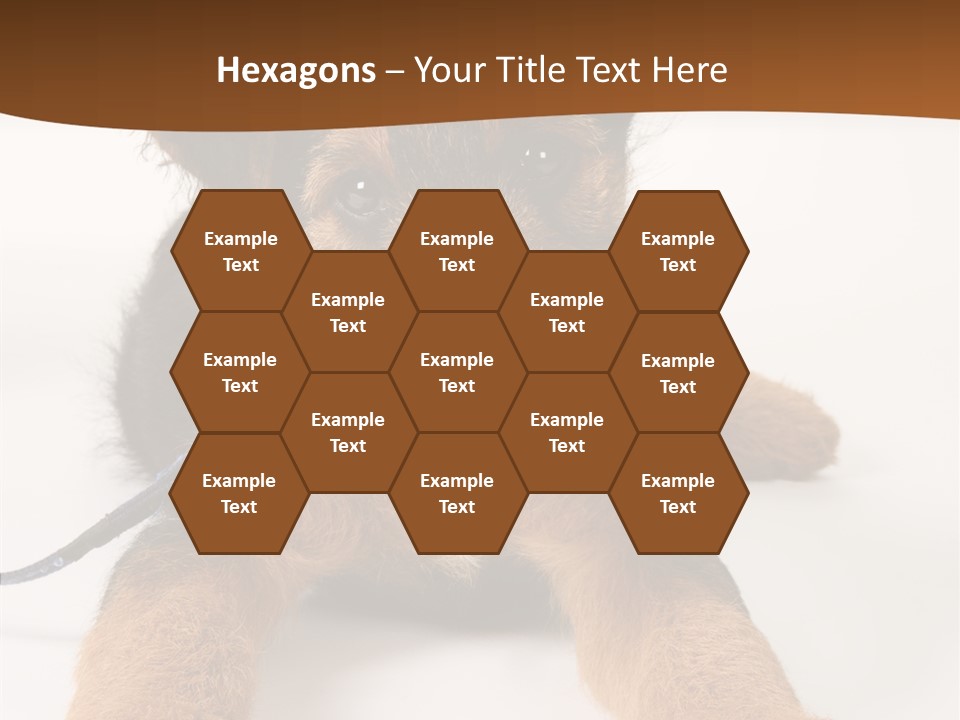 Breed Terrier Animal PowerPoint Template