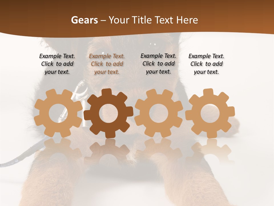 Breed Terrier Animal PowerPoint Template