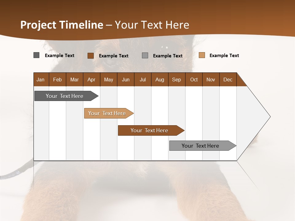 Breed Terrier Animal PowerPoint Template