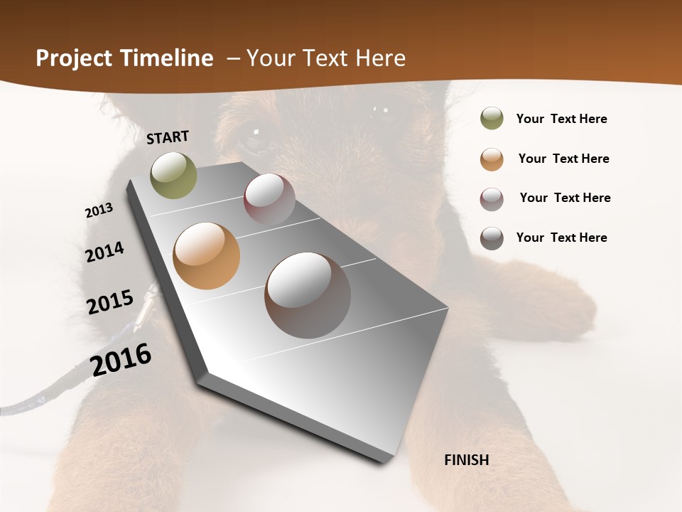 Breed Terrier Animal PowerPoint Template