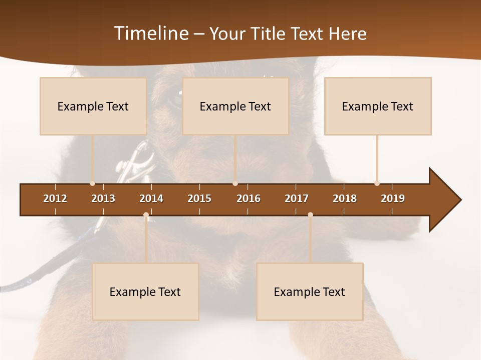 Breed Terrier Animal PowerPoint Template