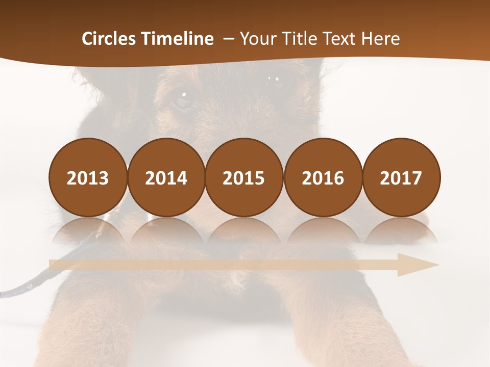 Breed Terrier Animal PowerPoint Template