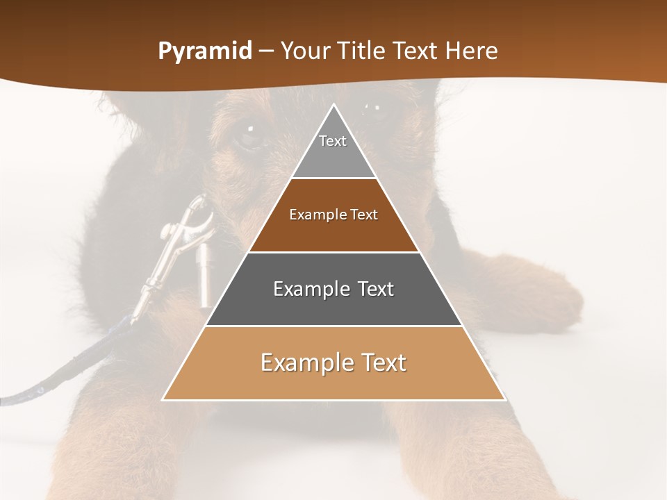 Breed Terrier Animal PowerPoint Template