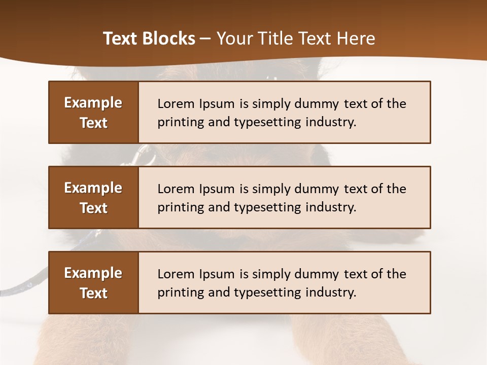 Breed Terrier Animal PowerPoint Template