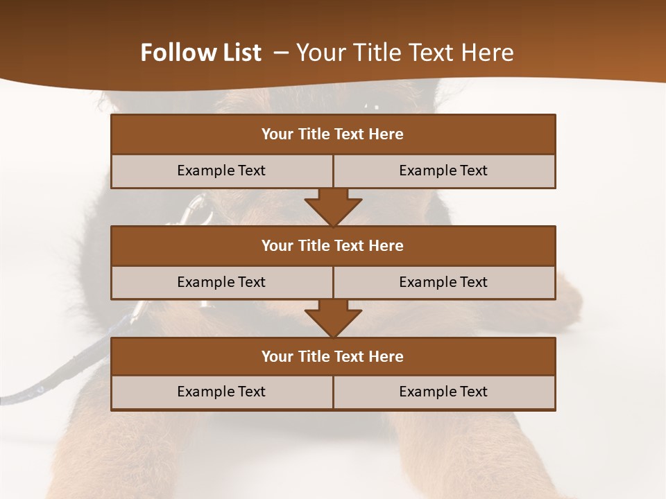 Breed Terrier Animal PowerPoint Template