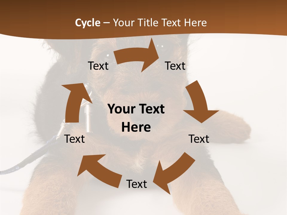 Breed Terrier Animal PowerPoint Template