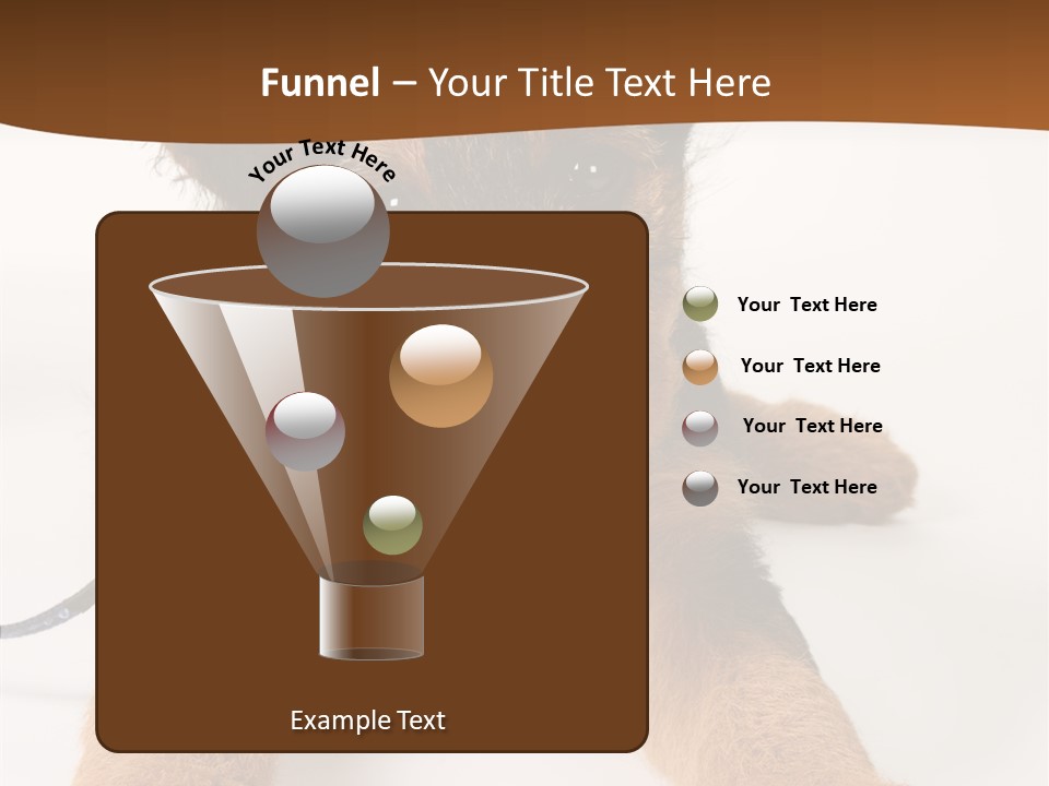 Breed Terrier Animal PowerPoint Template