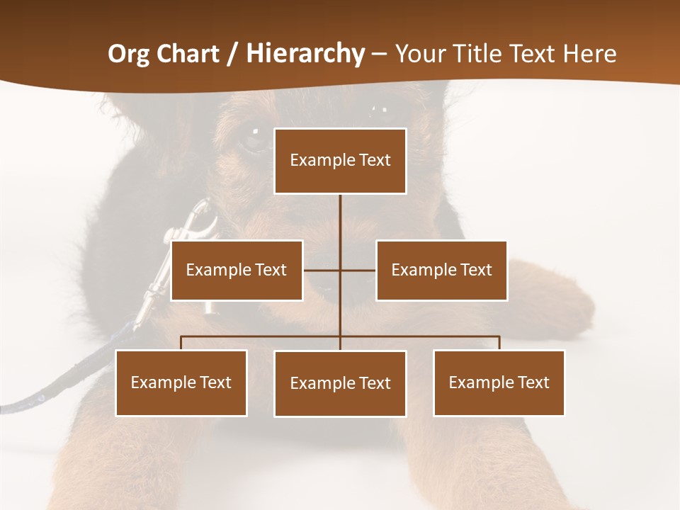 Breed Terrier Animal PowerPoint Template