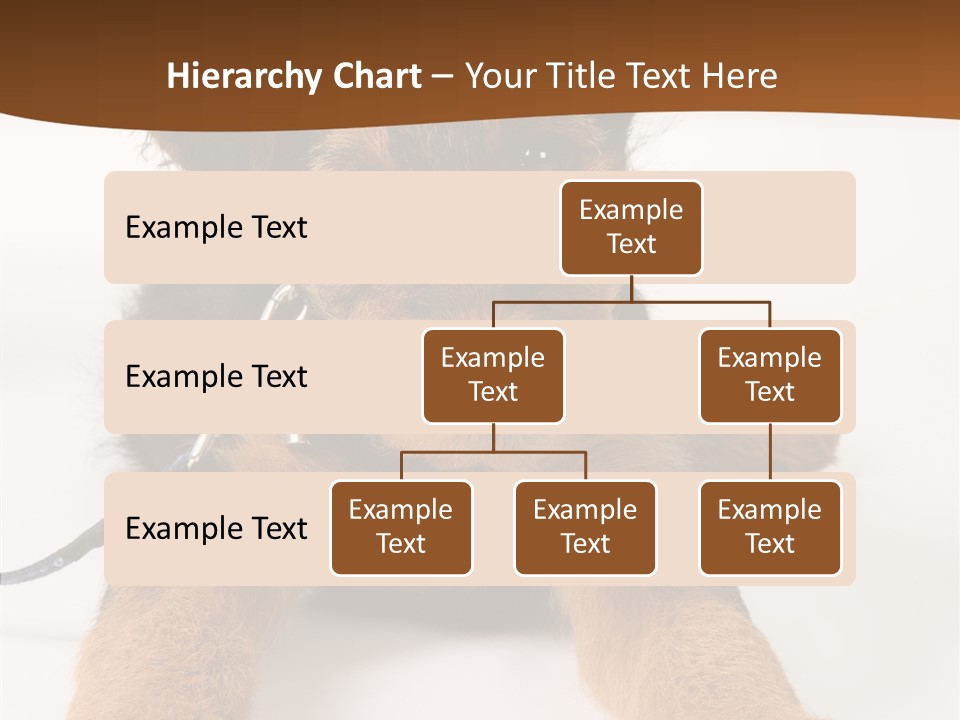 Breed Terrier Animal PowerPoint Template