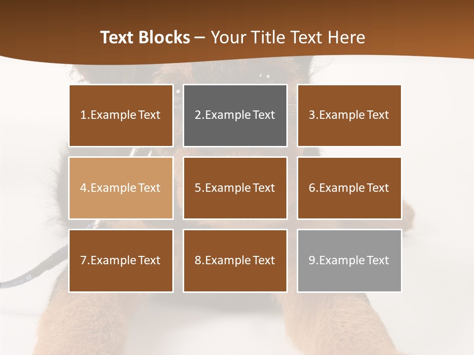 Breed Terrier Animal PowerPoint Template