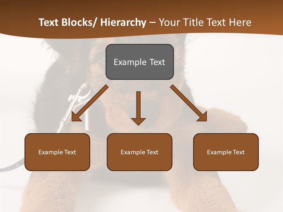 Breed Terrier Animal PowerPoint Template