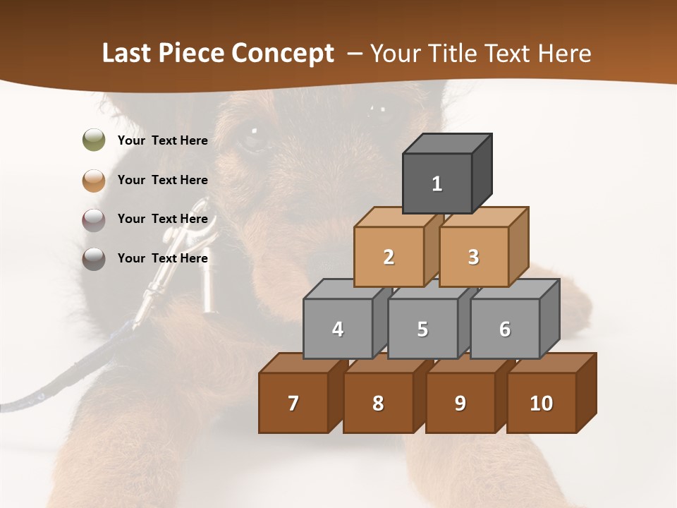 Breed Terrier Animal PowerPoint Template
