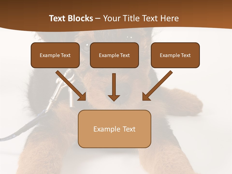 Breed Terrier Animal PowerPoint Template
