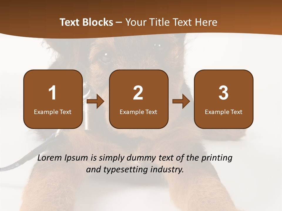 Breed Terrier Animal PowerPoint Template