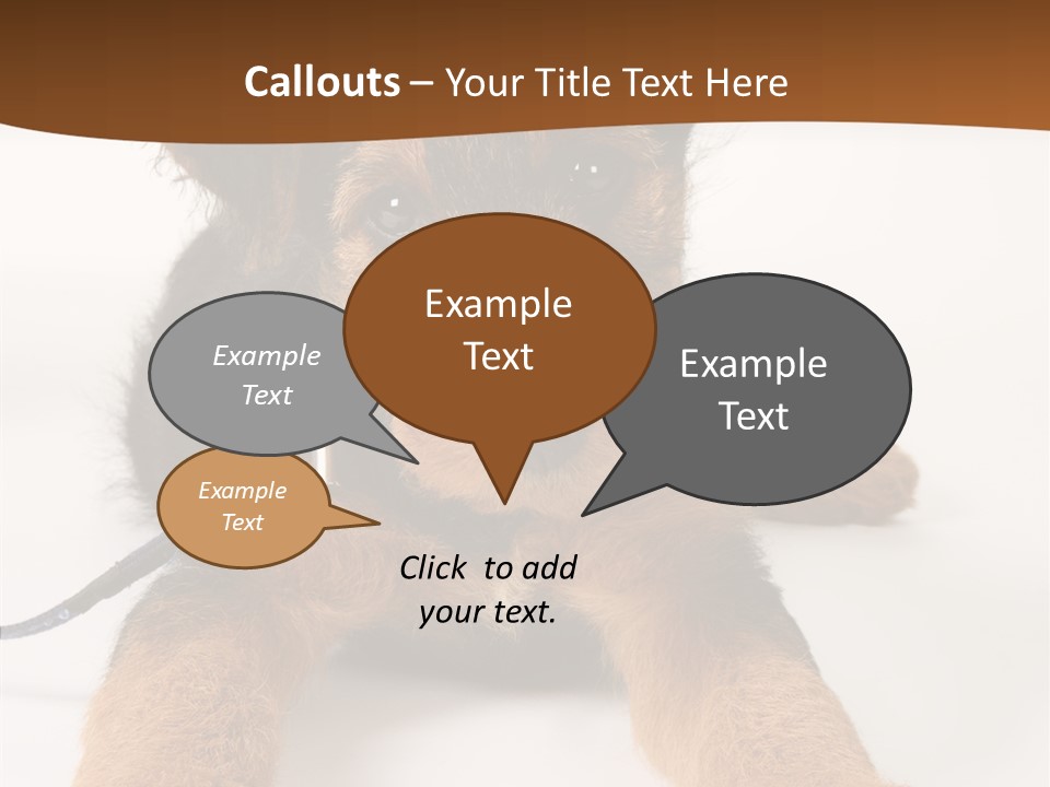 Breed Terrier Animal PowerPoint Template