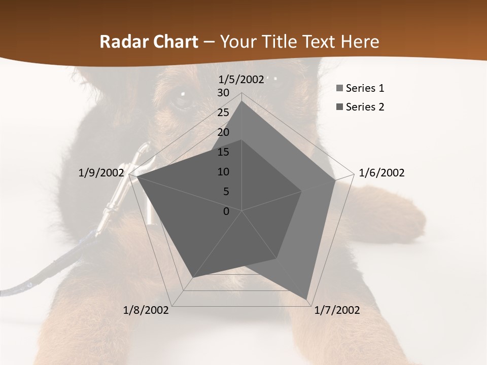 Breed Terrier Animal PowerPoint Template