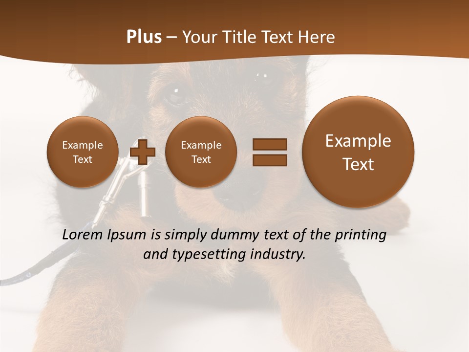 Breed Terrier Animal PowerPoint Template