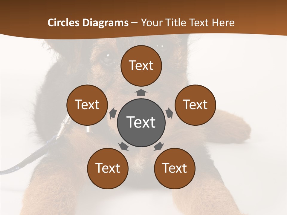 Breed Terrier Animal PowerPoint Template