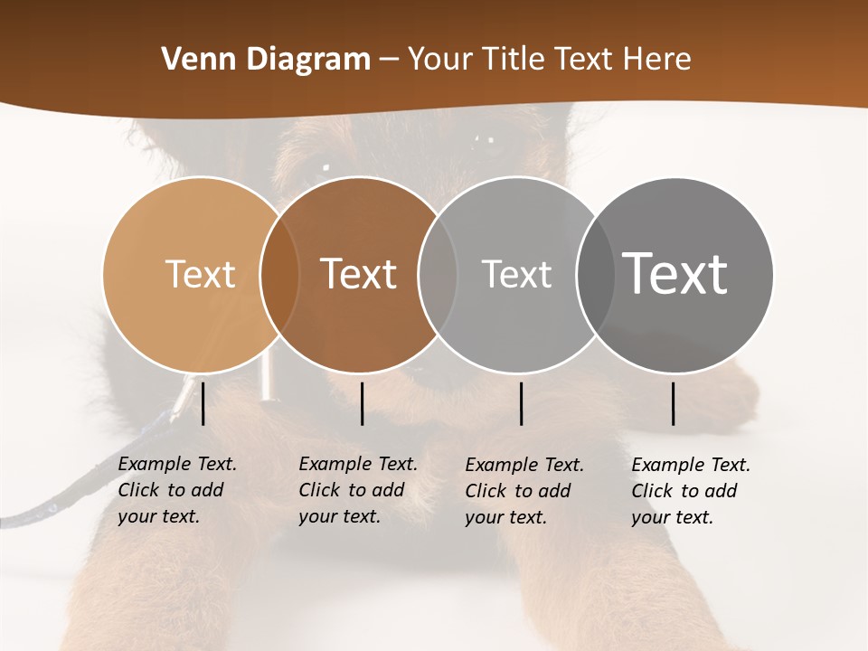 Breed Terrier Animal PowerPoint Template