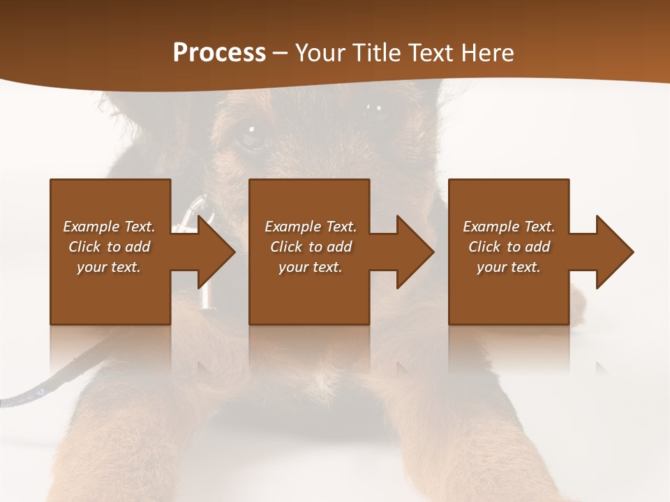 Breed Terrier Animal PowerPoint Template