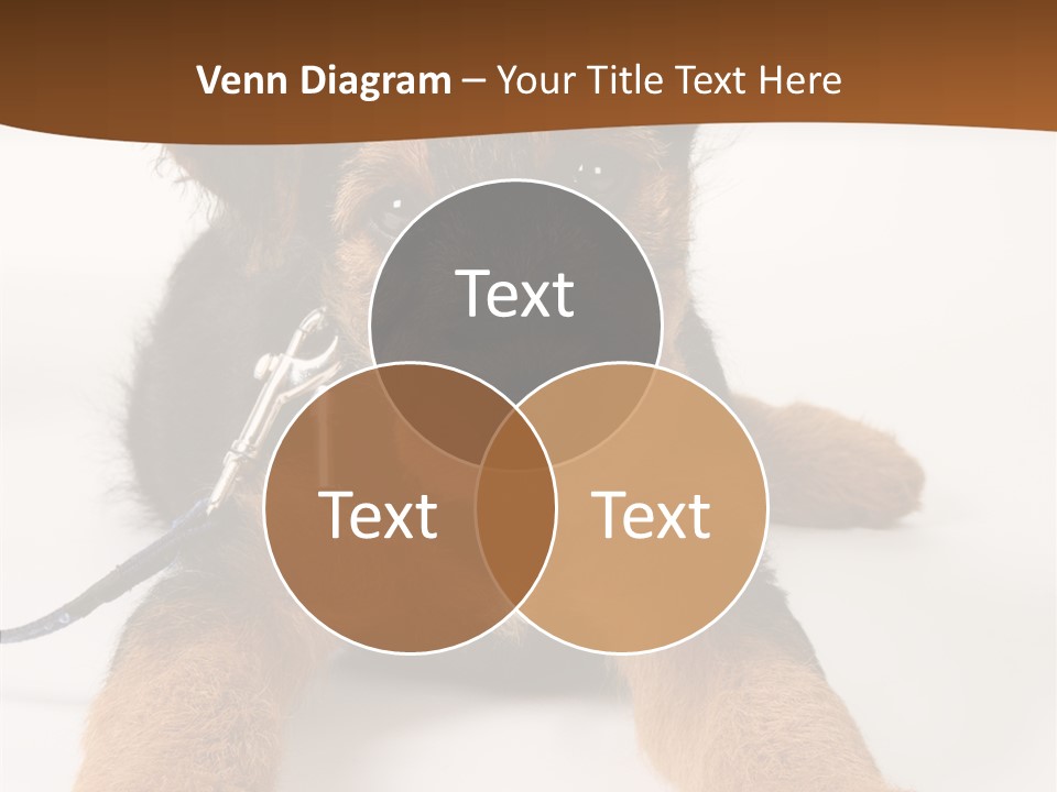 Breed Terrier Animal PowerPoint Template