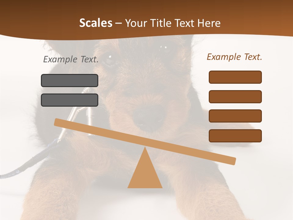 Breed Terrier Animal PowerPoint Template