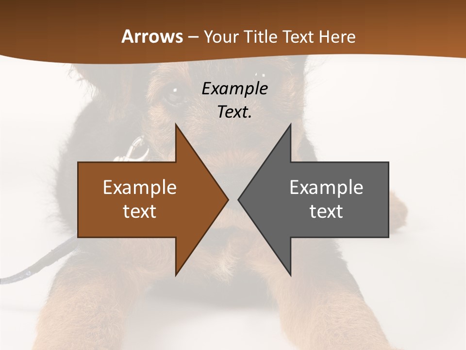 Breed Terrier Animal PowerPoint Template