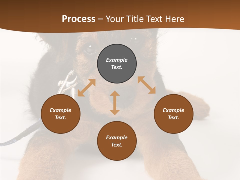 Breed Terrier Animal PowerPoint Template