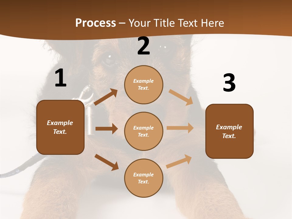 Breed Terrier Animal PowerPoint Template