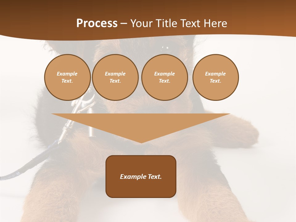 Breed Terrier Animal PowerPoint Template