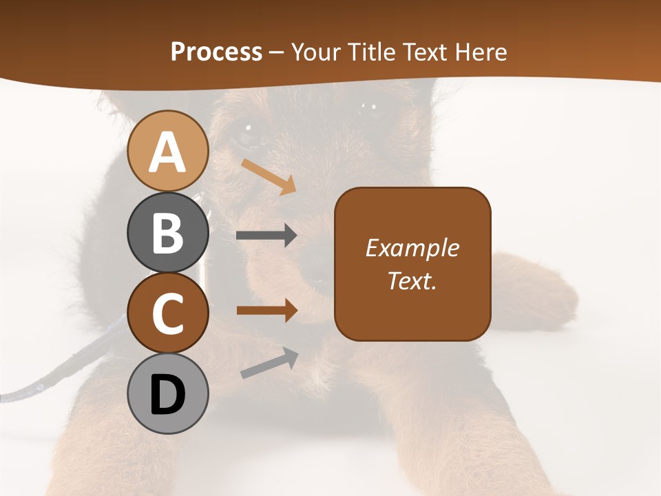 Breed Terrier Animal PowerPoint Template