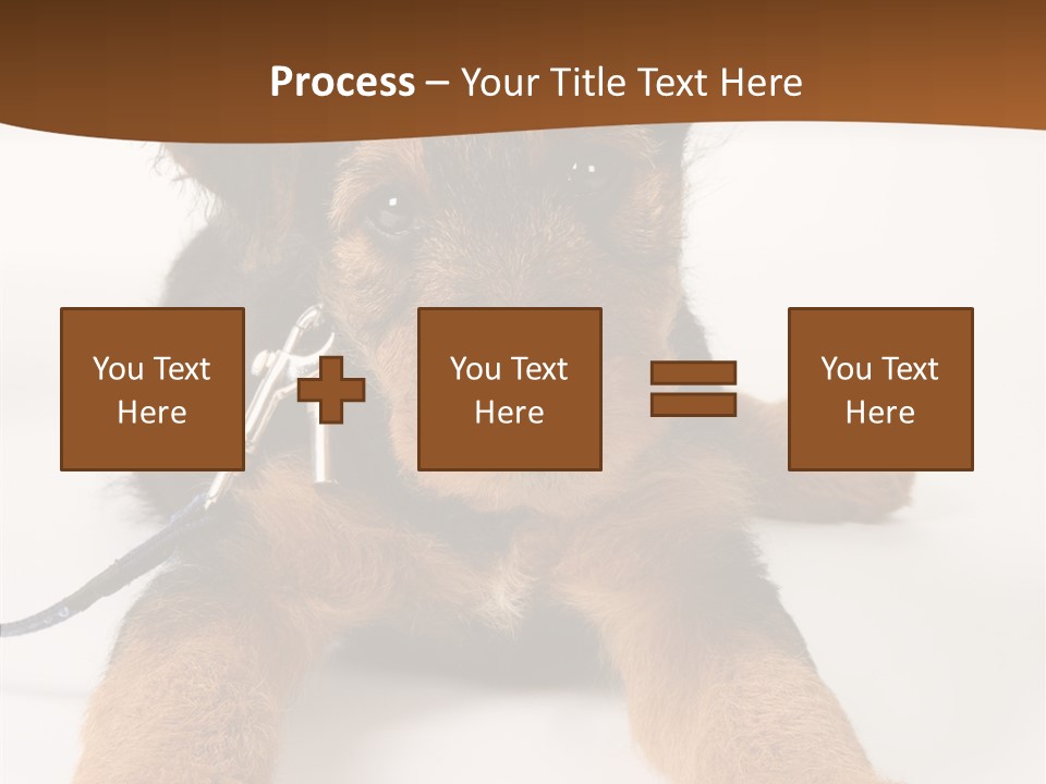 Breed Terrier Animal PowerPoint Template