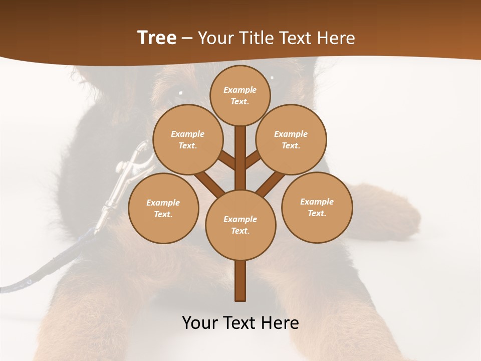 Breed Terrier Animal PowerPoint Template