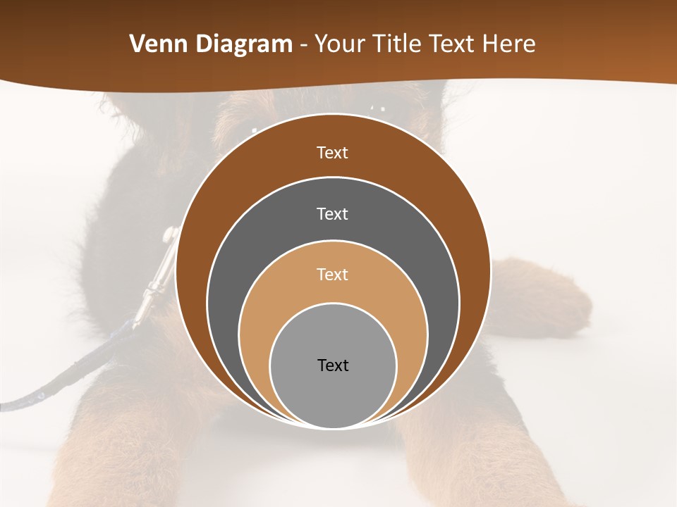 Breed Terrier Animal PowerPoint Template