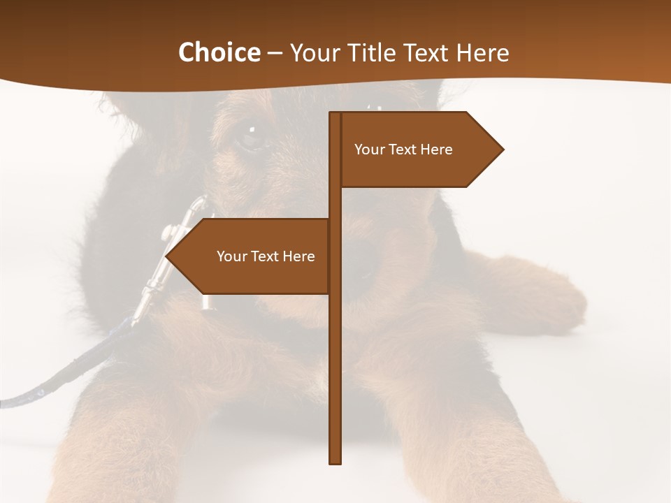 Breed Terrier Animal PowerPoint Template