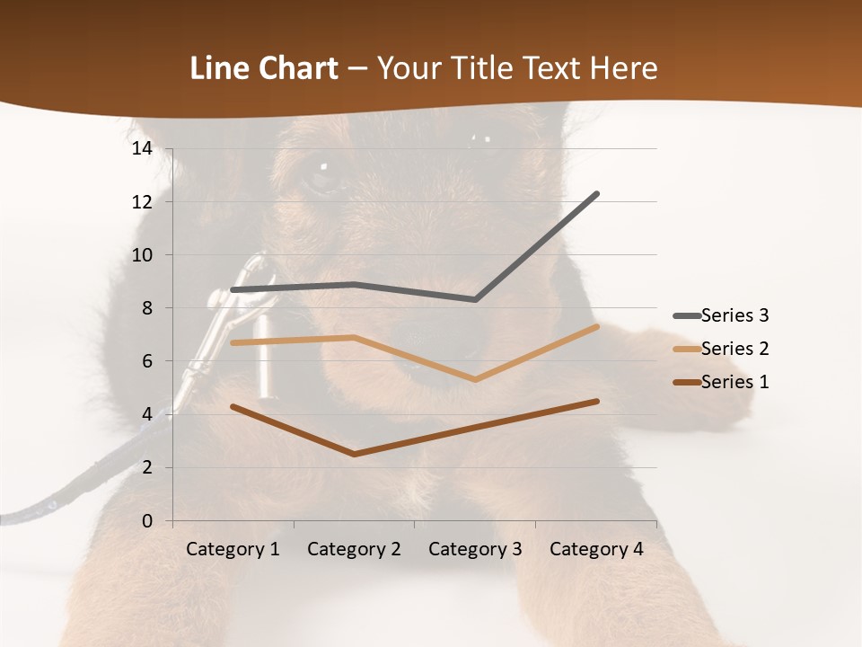 Breed Terrier Animal PowerPoint Template