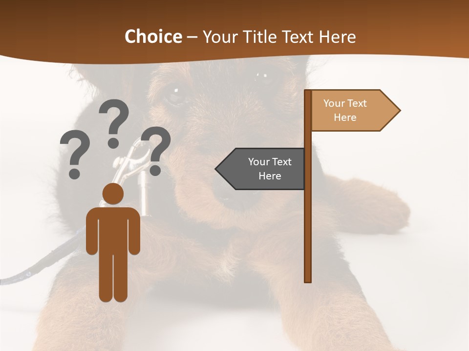 Breed Terrier Animal PowerPoint Template