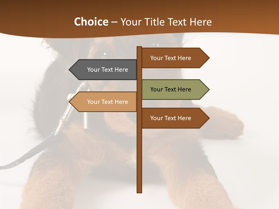 Breed Terrier Animal PowerPoint Template