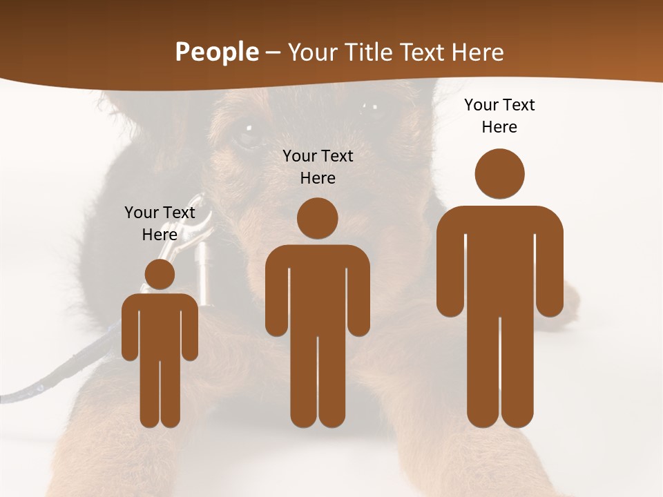 Breed Terrier Animal PowerPoint Template