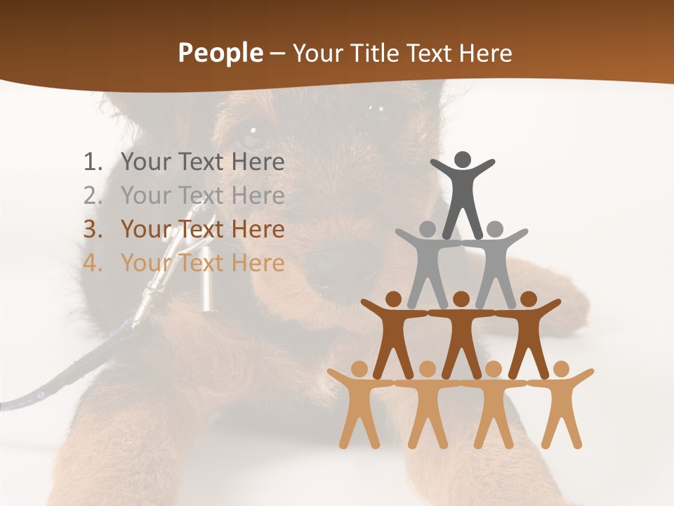 Breed Terrier Animal PowerPoint Template