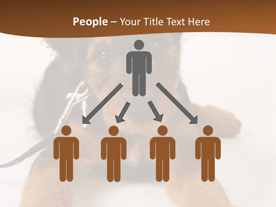 Breed Terrier Animal PowerPoint Template