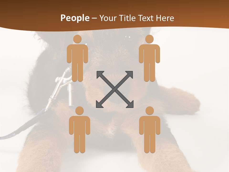 Breed Terrier Animal PowerPoint Template