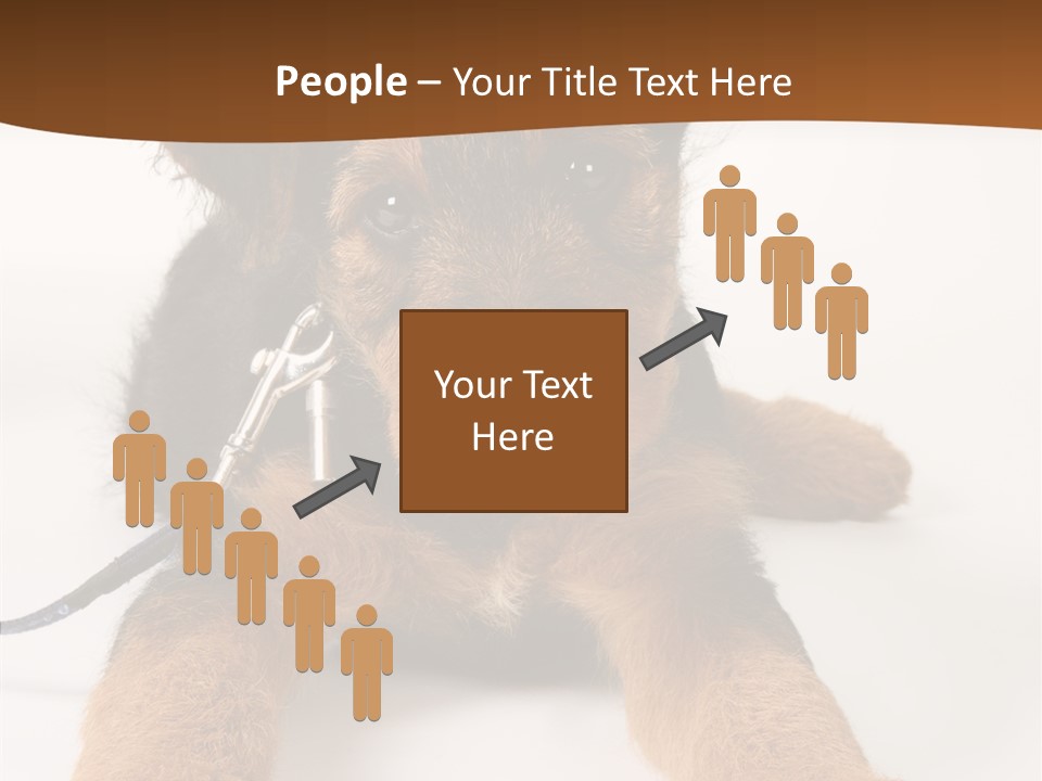 Breed Terrier Animal PowerPoint Template