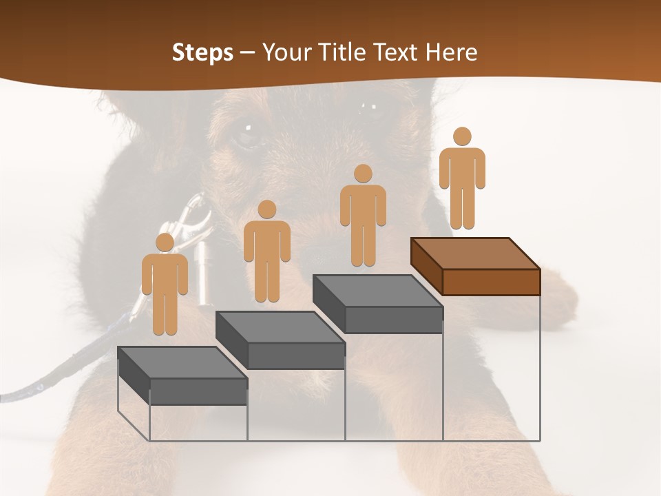 Breed Terrier Animal PowerPoint Template