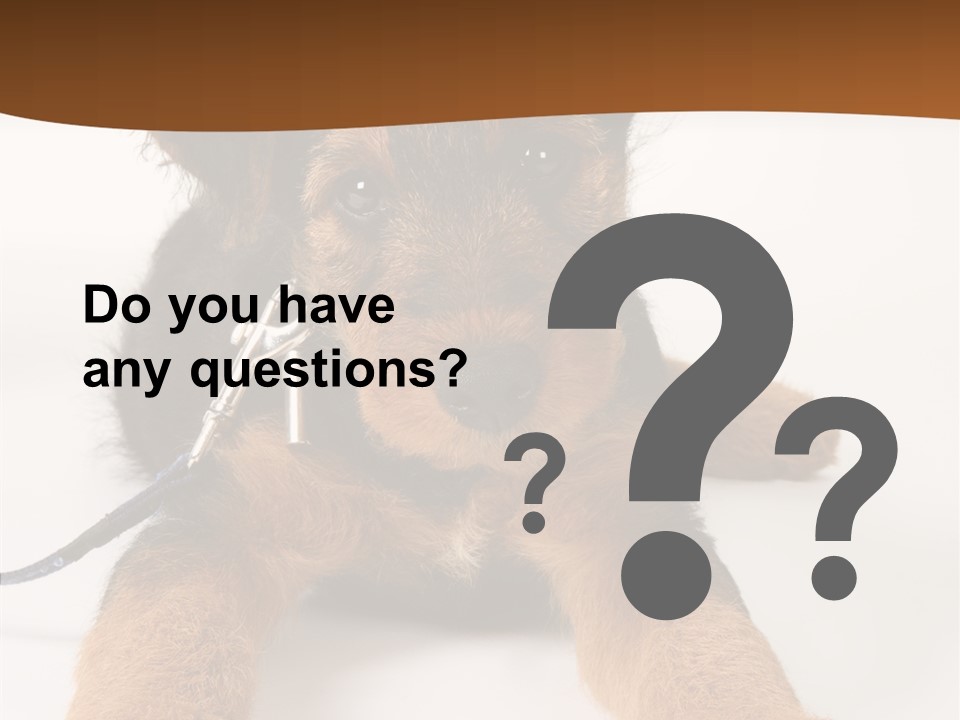 Breed Terrier Animal PowerPoint Template