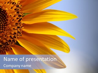 Garden Macro Flora PowerPoint Template