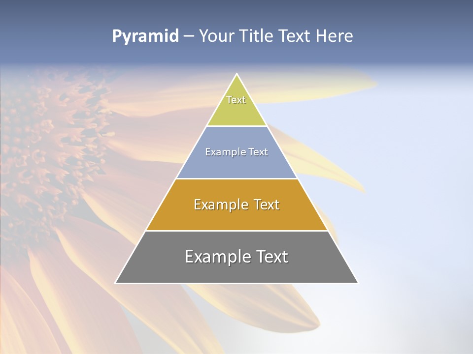 Garden Macro Flora PowerPoint Template