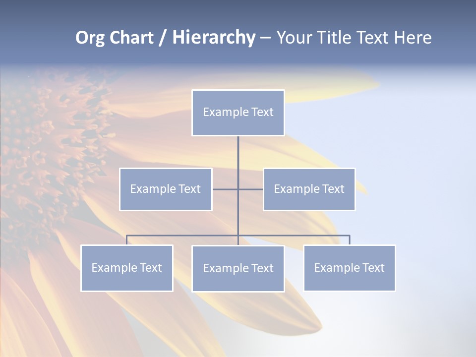 Garden Macro Flora PowerPoint Template