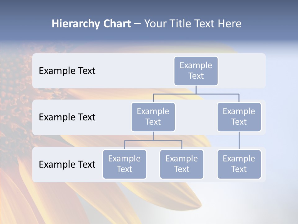 Garden Macro Flora PowerPoint Template