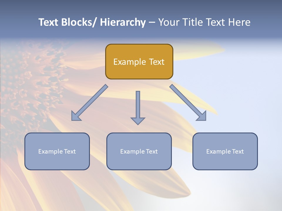 Garden Macro Flora PowerPoint Template